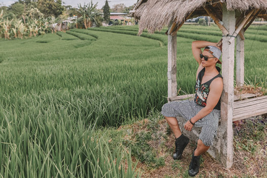 Padang Linjong: Những ruộng lúa xanh thẳm và yên bình