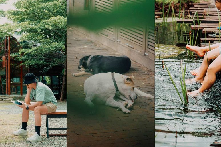 Cà phê đẹp: Ghé ”Chiang Mai” Sài Gòn Family Garden xanh mát mắt