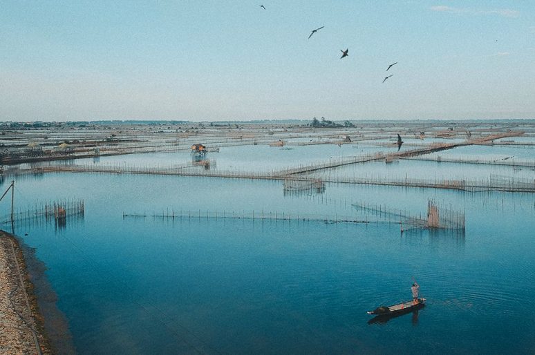 Đầm Chuồn Huế – Khám phá vẻ đẹp mộc mạc đầy mê hoặc