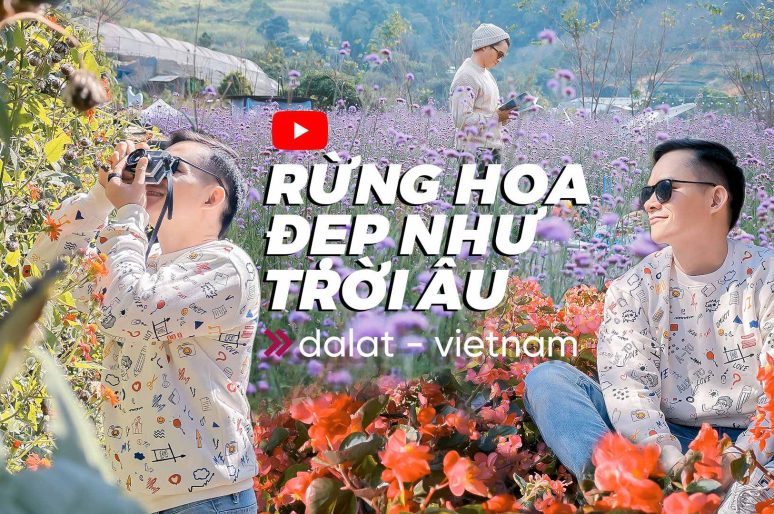 F Cánh đồng hoa – Rừng hoa đẹp như trời Âu ở Đà Lạt
