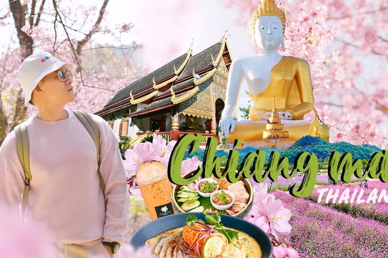 Du lịch Chiang Mai tự túc mới nhất | ĂN, CHƠI, CHỤP hot trending