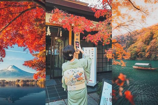 Dự báo lá đỏ lá vàng mùa Thu Nhật Bản mới nhất 2023