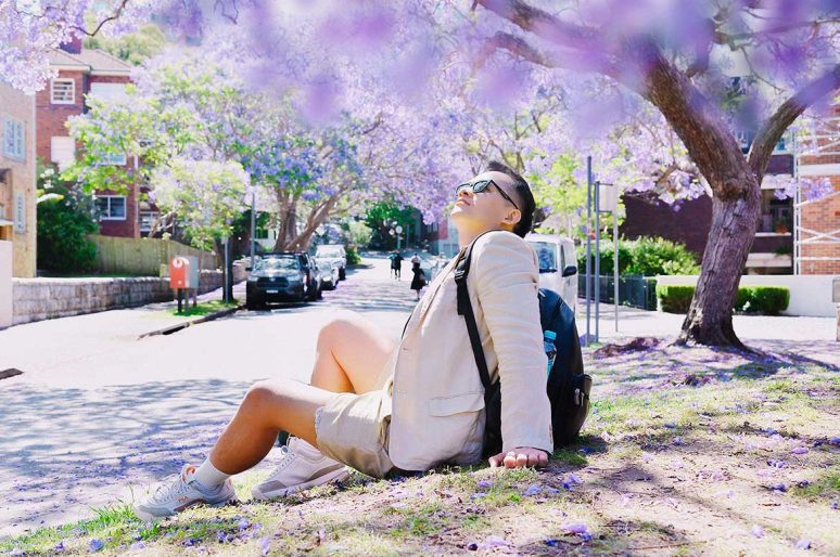 Du lịch tự túc Sydney – Úc : Mùa hoa phượng tím Jacaranda đẹp mê hồn